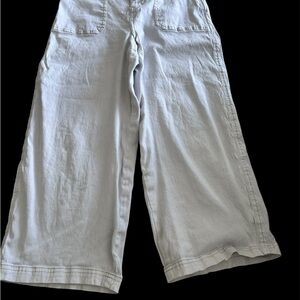 Women’s Pale Gray Wide Leg Pants Size 12 R